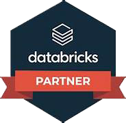 databricks partner